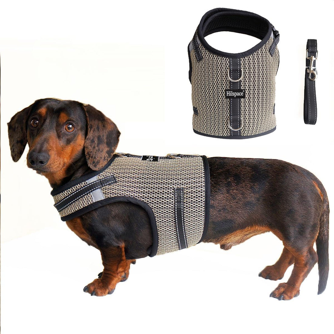 Mini Dachshund Harness Vest, No Pull & No Armpit Rub Dachshund Harness