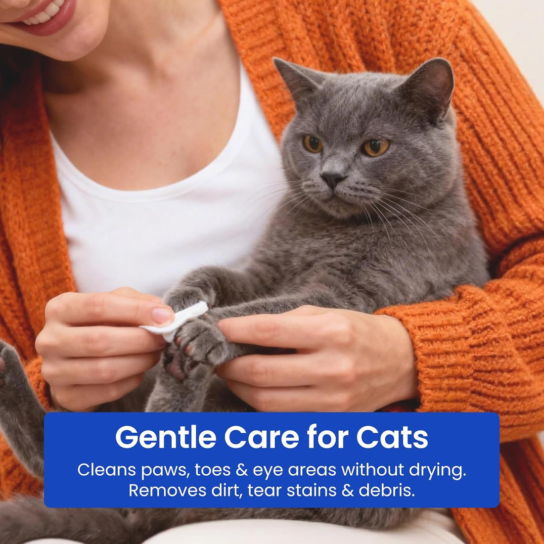 2% Chlorhexidine Wipes for Dogs & Cats Pet Skin Care