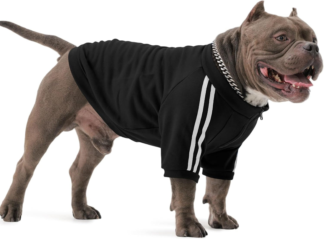 PUMYPOREITY Bulldog Sweatshirt for Broad-Chested Dogs, Blue, L