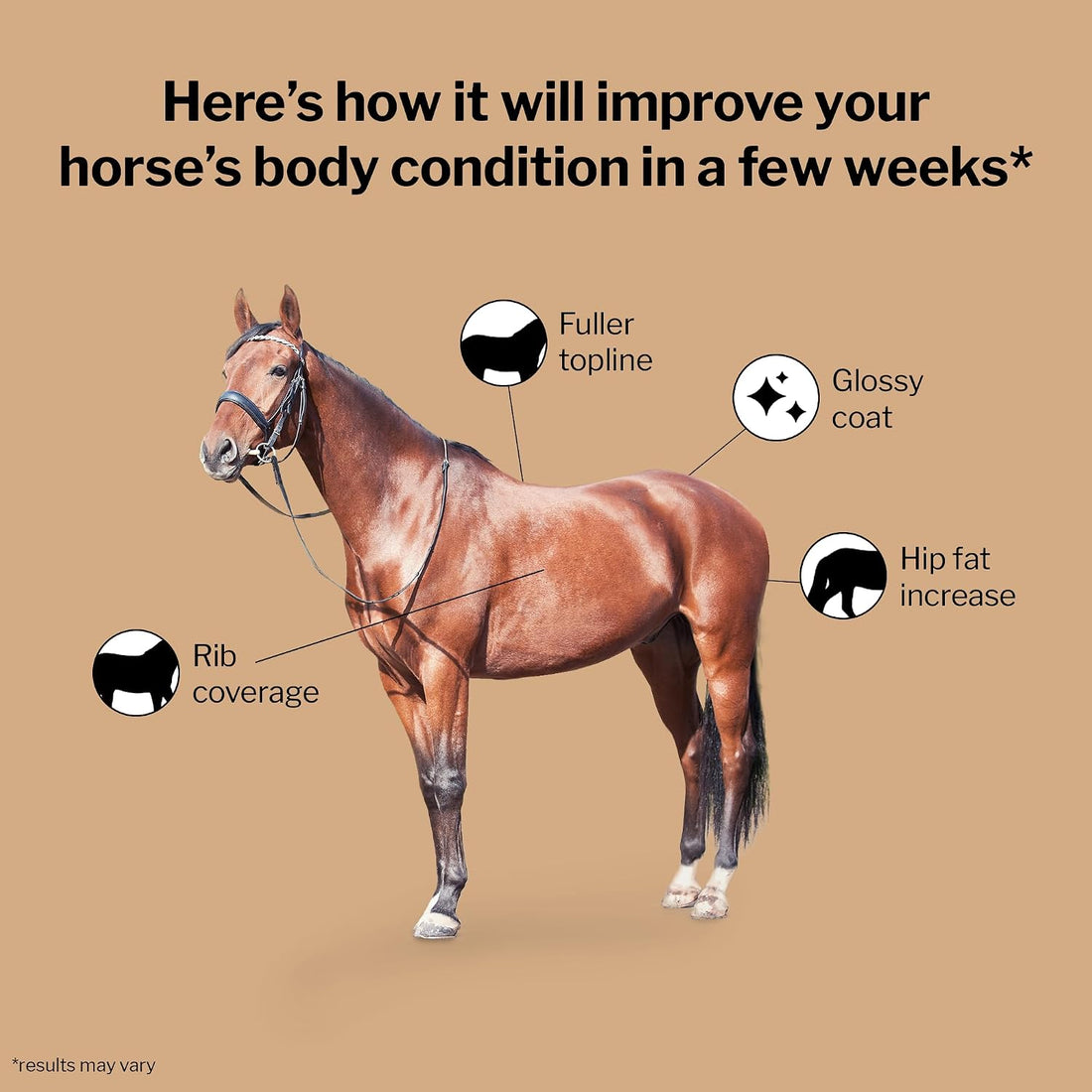 Formula 707 Weight Gain Crumble for Horses, 7 lb