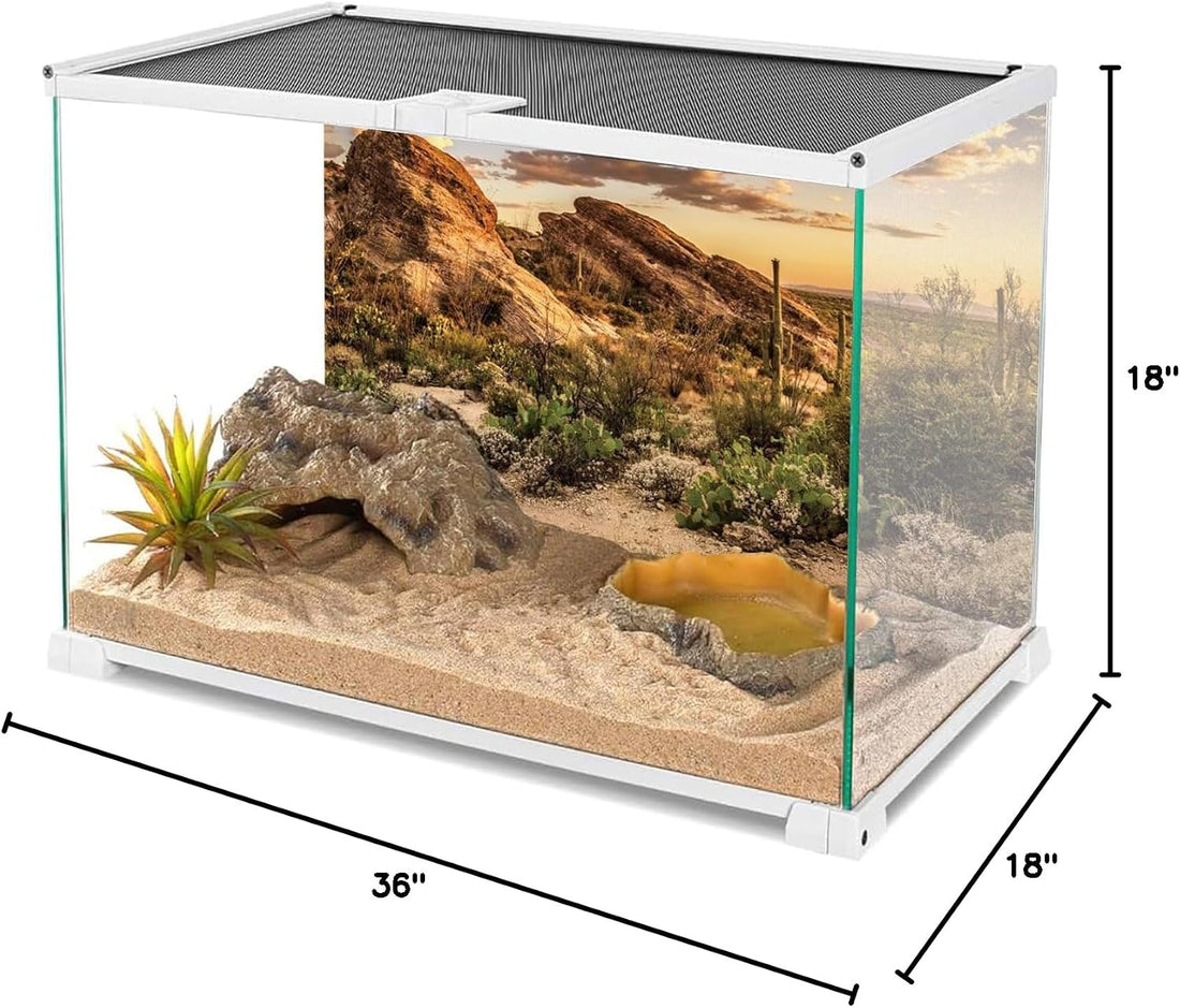 36x18 in Desert Reptile Habitat Backdrop Oasis Cactus Terrarium