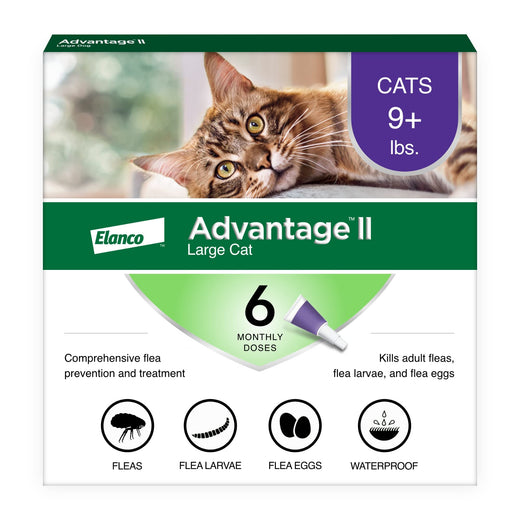 Advantage II Large Cat Vet-Recommended Flea Treatment & Prevention