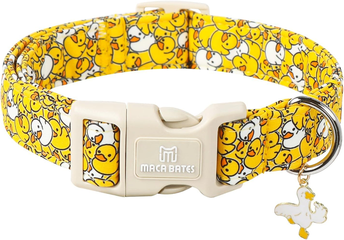 Maca Bates Fall Plaid Dog Collar,Pumpkin Charm,Small for Girl,BoyDogs