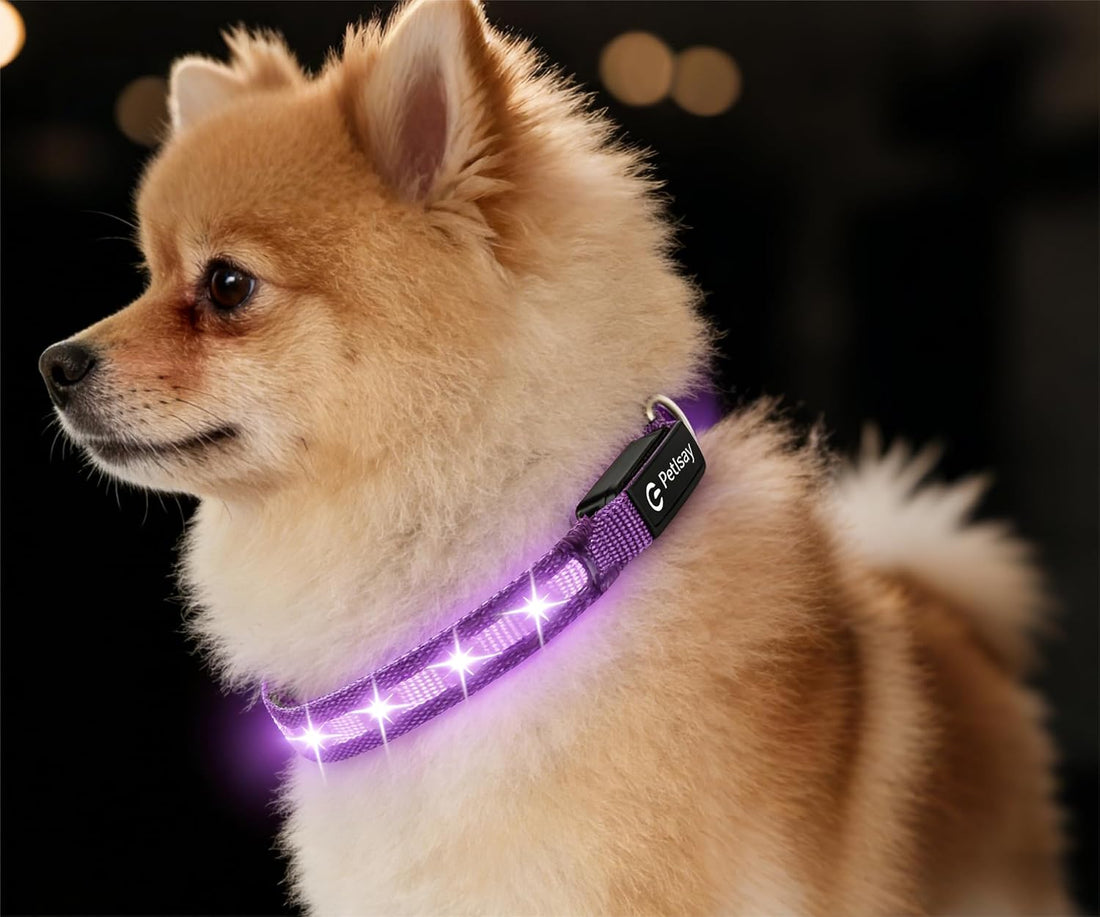 Super Bright LED Dog Collar, Waterproof Light up Collars