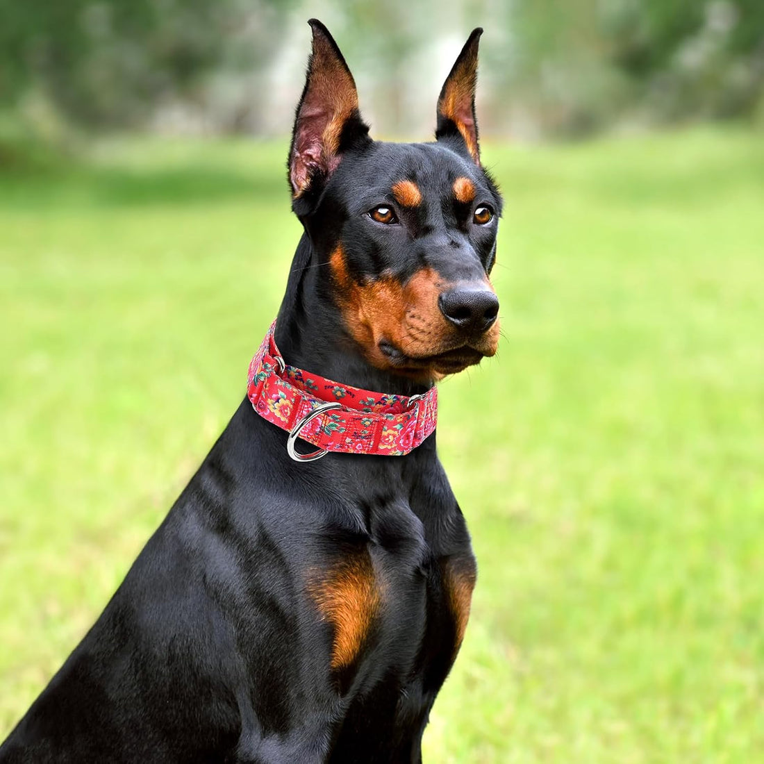 Wide Martingale Collar for Dogs,Red Floral No Pull Dog Collar