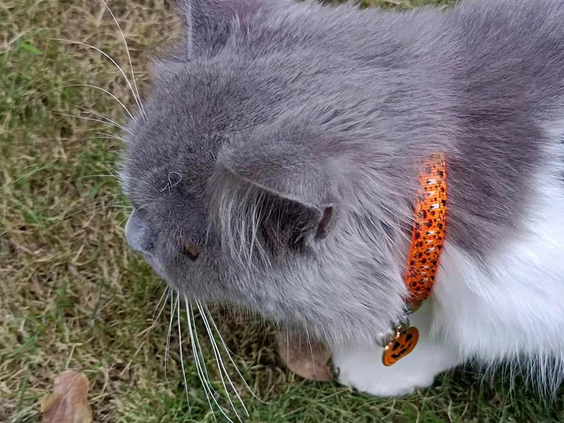 Halloween Cat Collar,2 Pack Collar with Bells, Orange+Black
