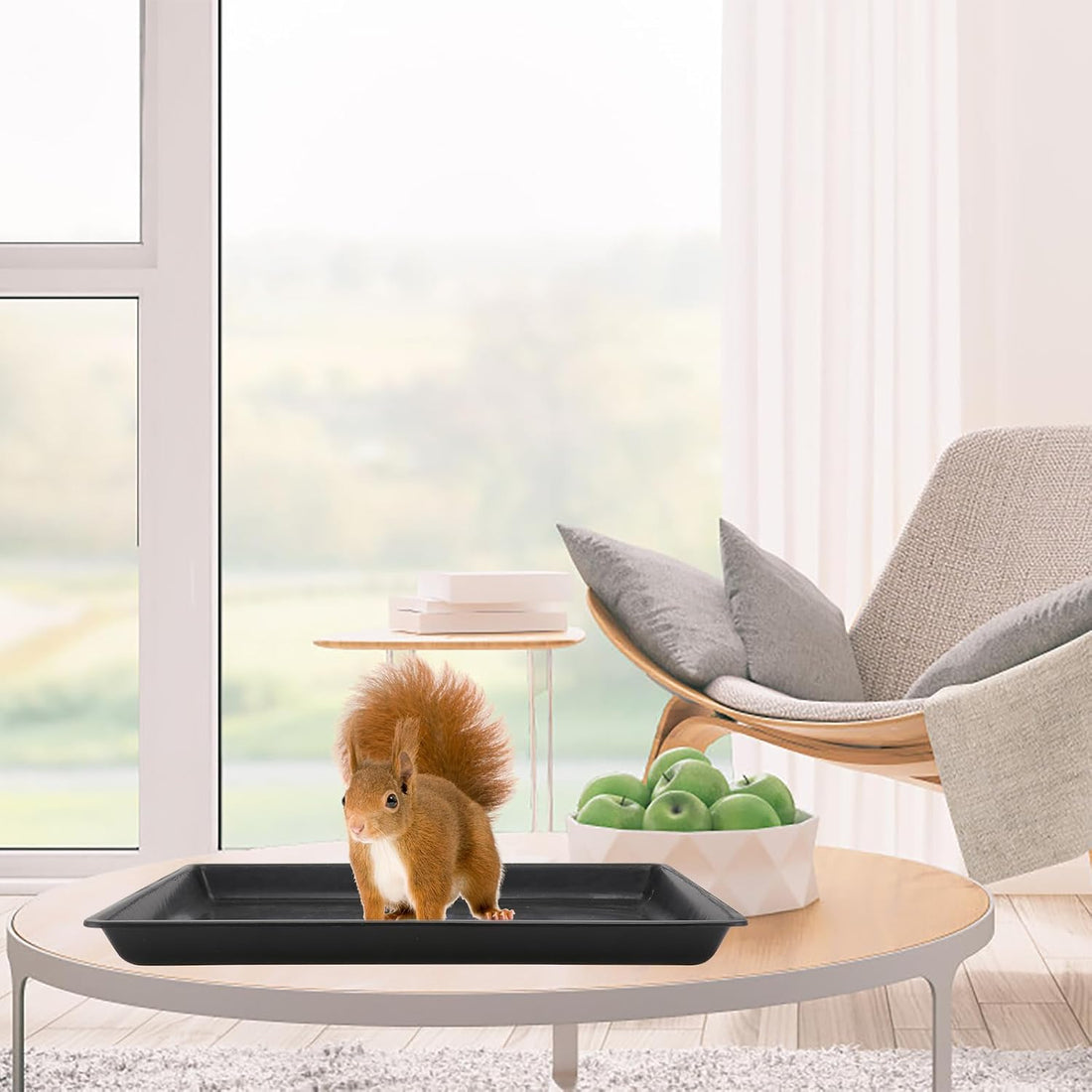 Beavorty Pet Cage Tray Plastic Dog Cage Tray Replacement Pan
