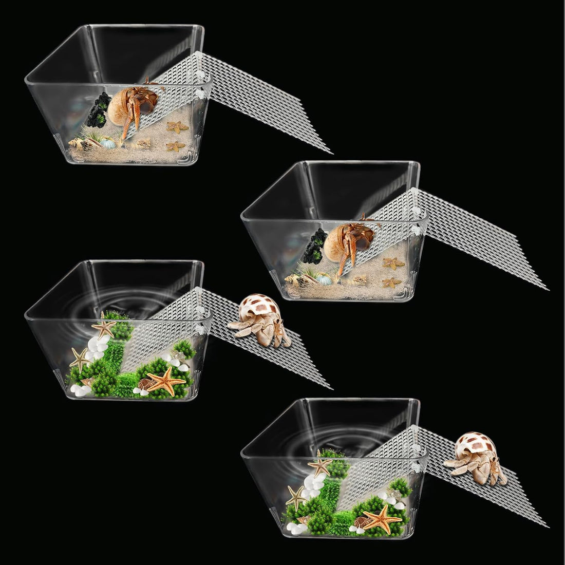 2 Packs Hermit Crab Pool - Ideal Hermit Crab Tank Combination