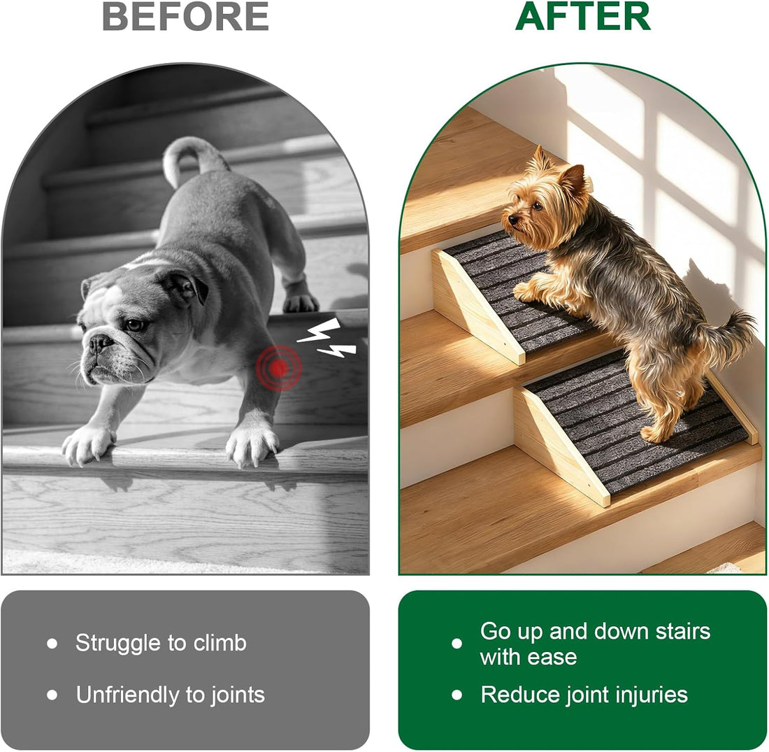 TIMHAKA 2 Pack Dog Ramp for Stairs