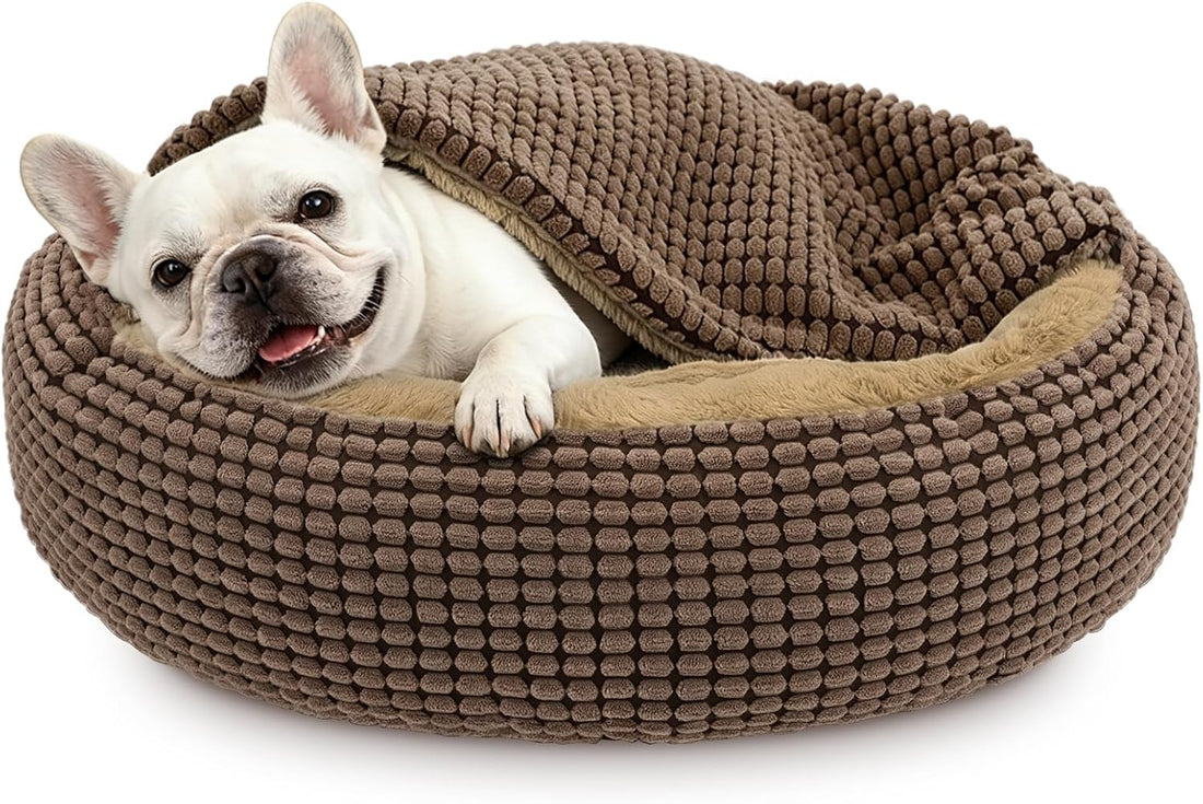 Small Dog Bed with Attached Blanket
