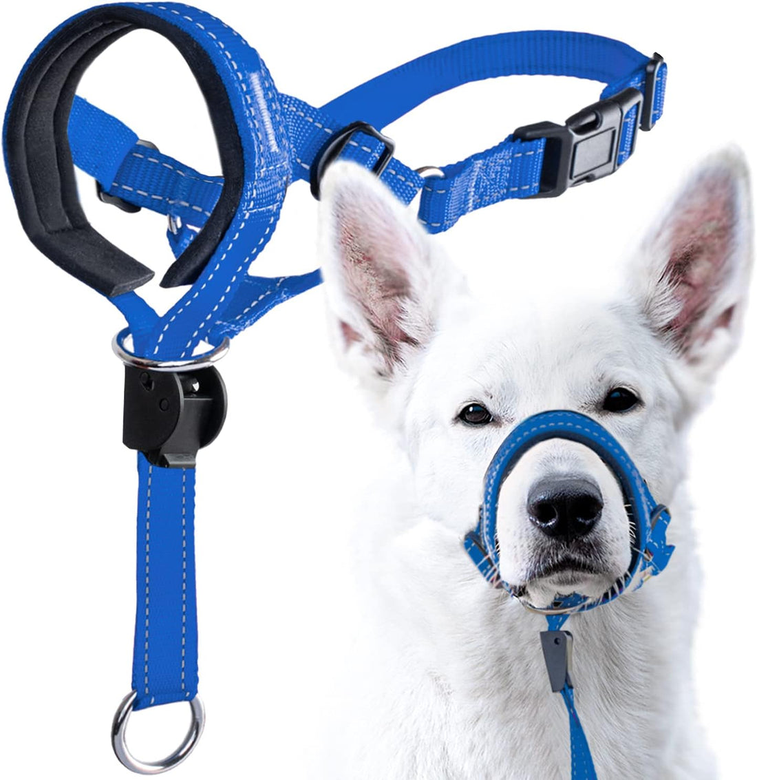 GoodBoy Dog Head Halter with Safety Strap