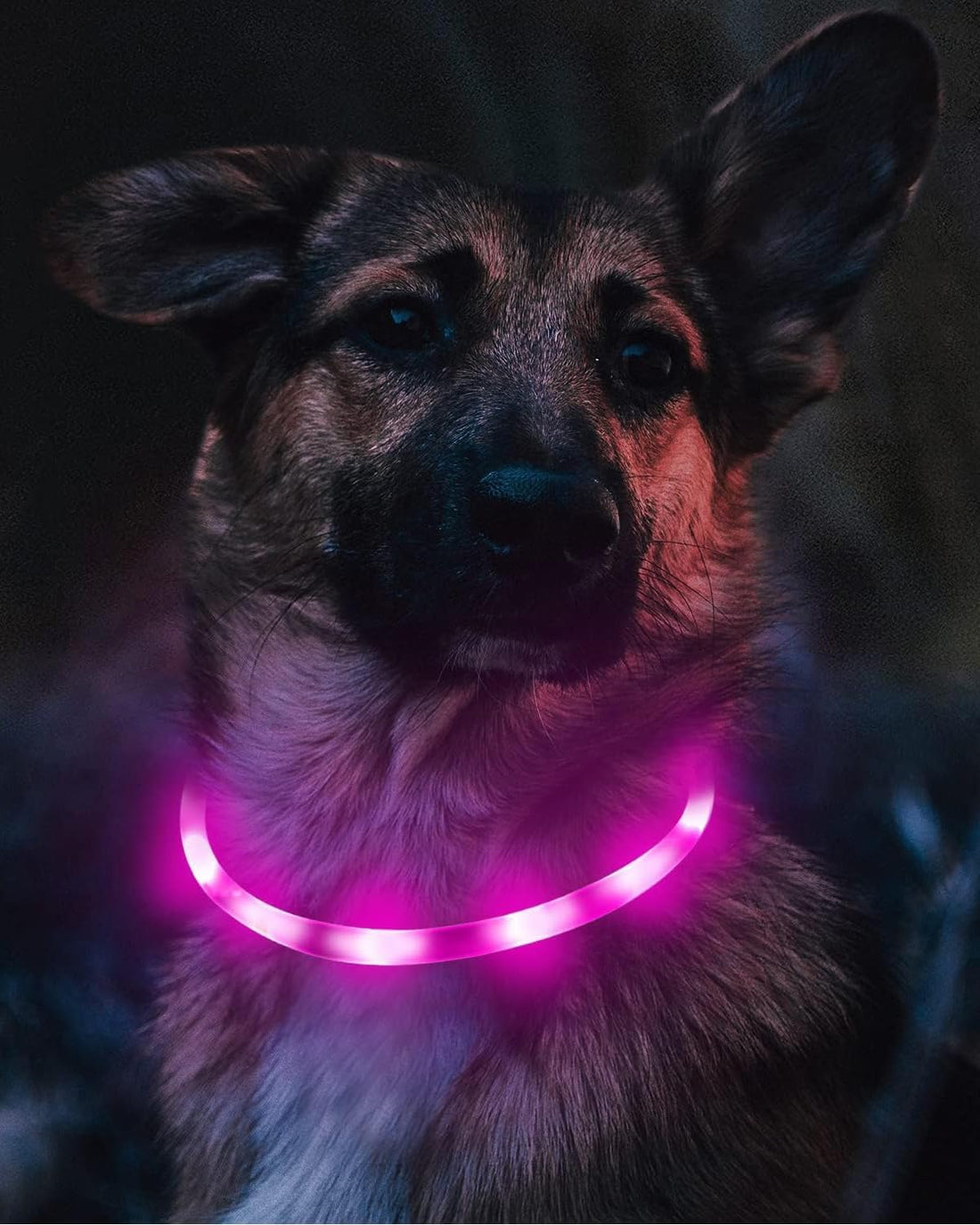 Joytale Light Up Dog Collar, LED Silicone Cut-to-Fit Rainproof