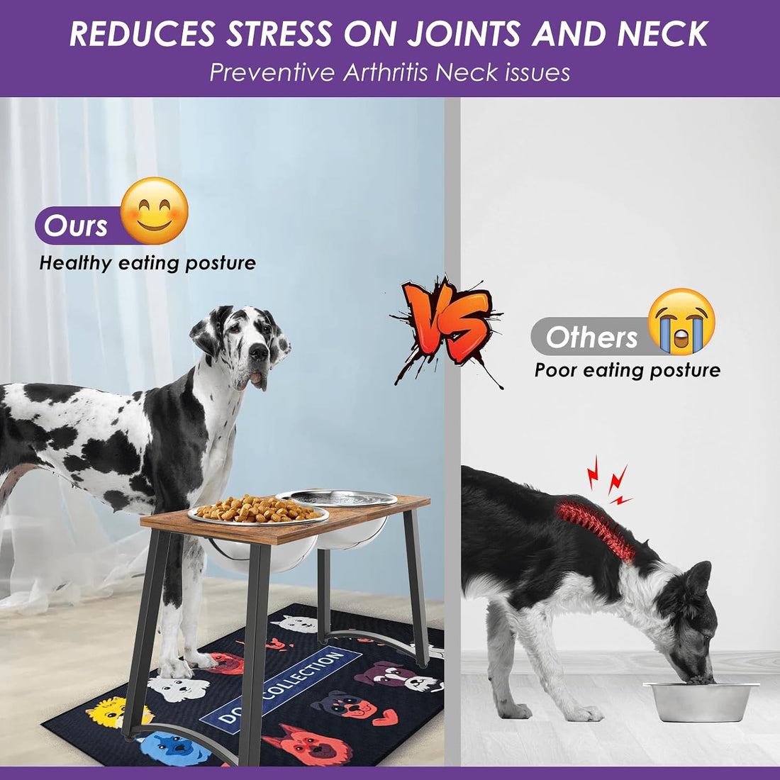 TIDANT Elevated Dog Bowls for X-Large Dogs with Spill Proof Mat 2