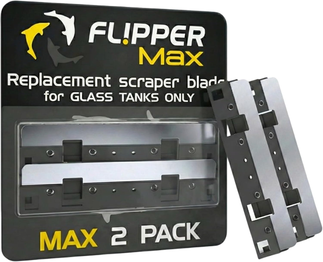 Flipper Standard Algae Scraper Replacement Blades, Stainless Steel