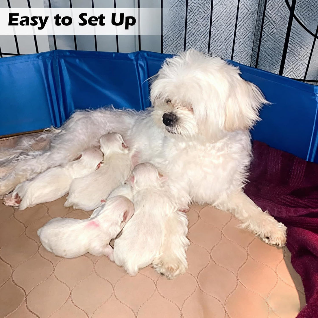 Artilife Whelping Pen for Dogs,Whelping Box for Small Dogs