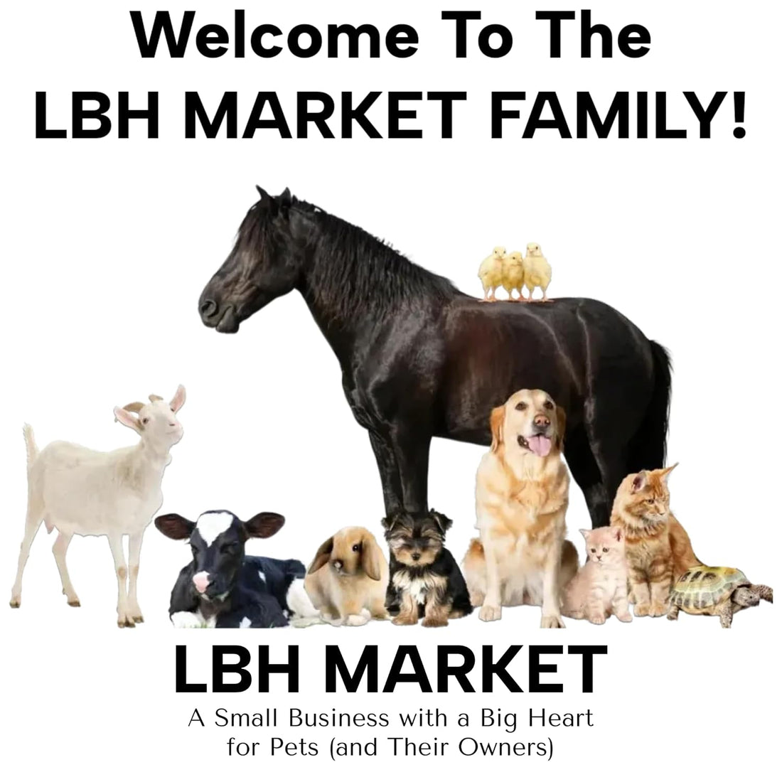 LBH MARKET Professional Sectioning Comb