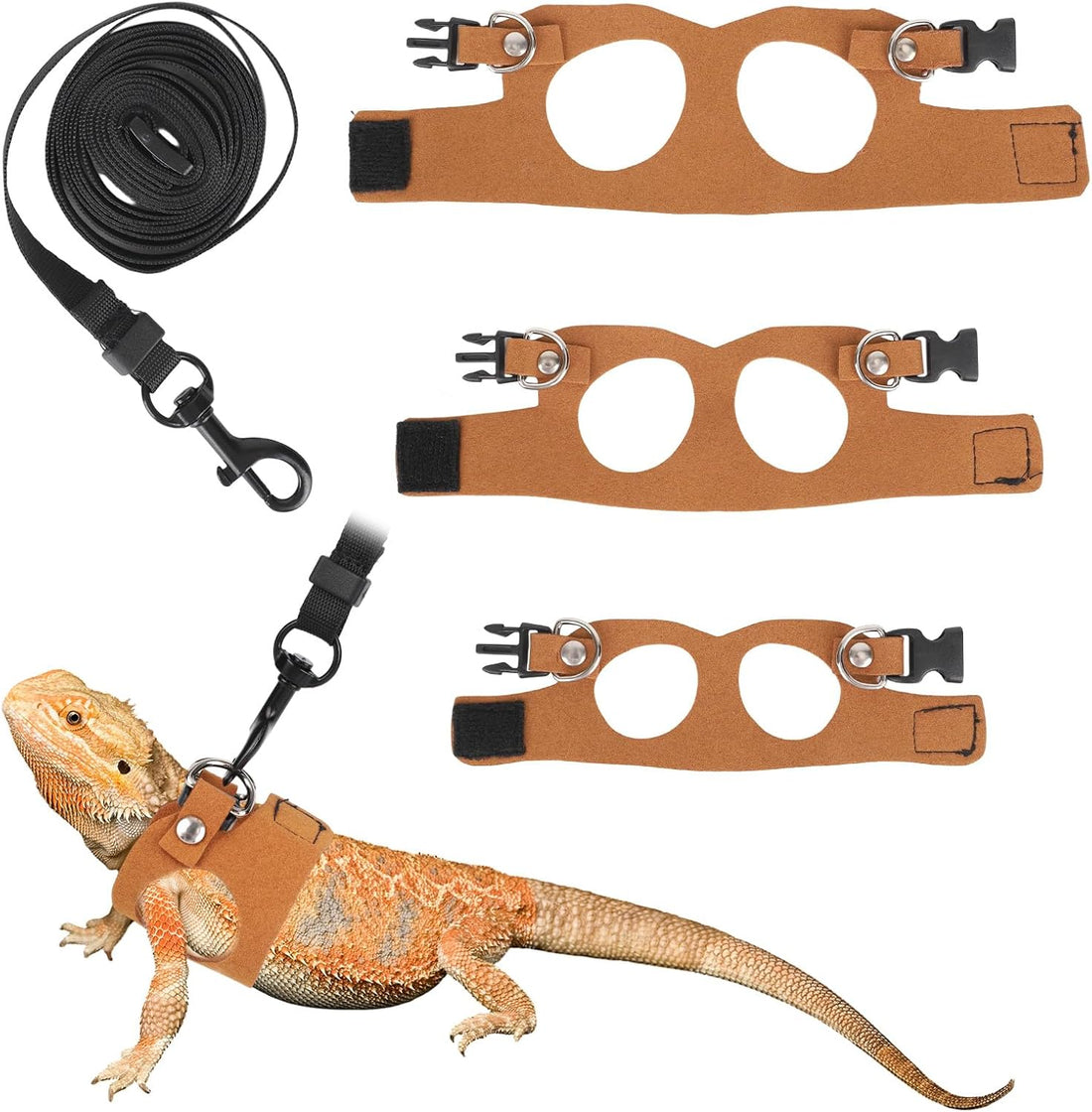 Bearded Dragon Leash and Harness Set