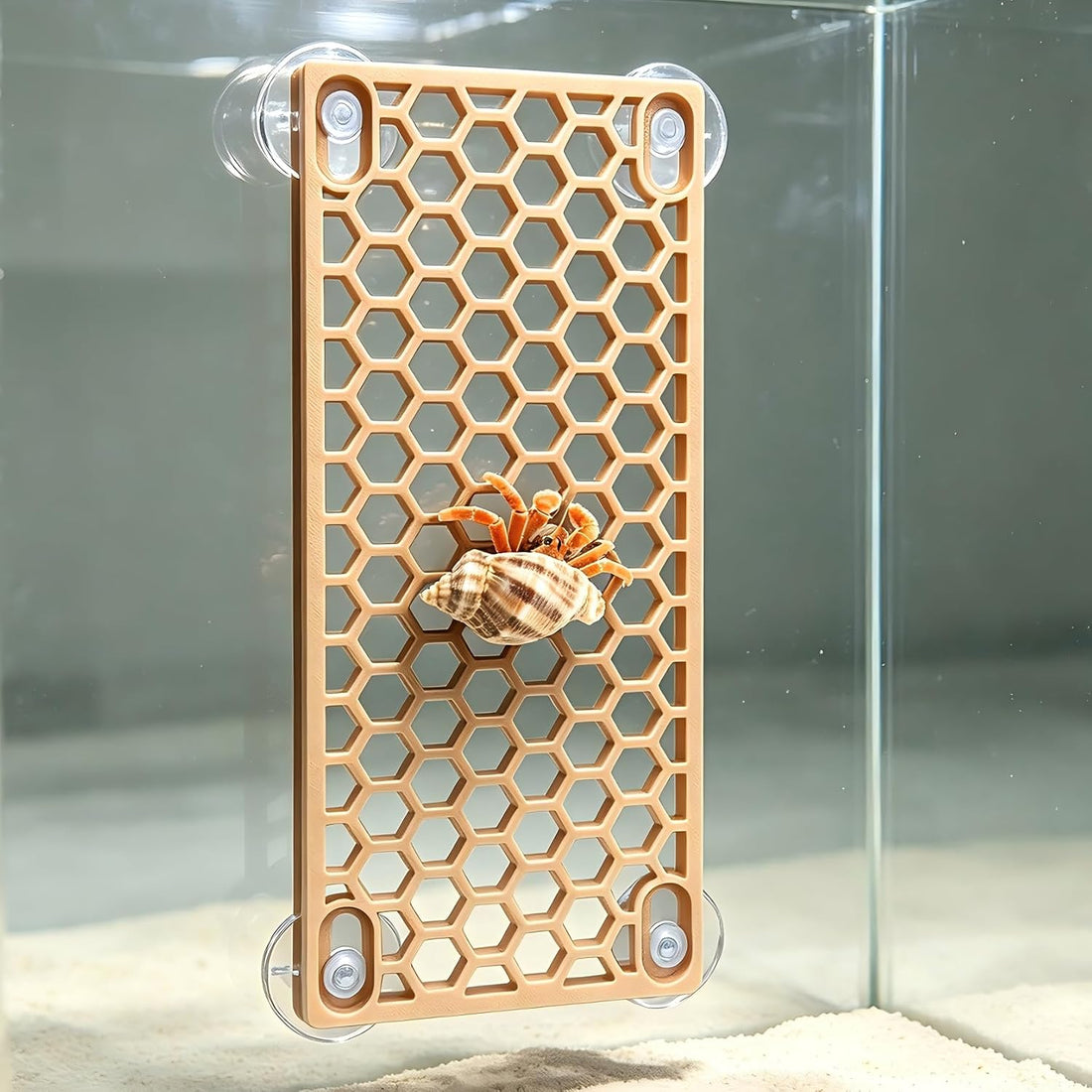 Hermit Crab Climbing Ladder Ramp Toy for Tank Habitat Decor
