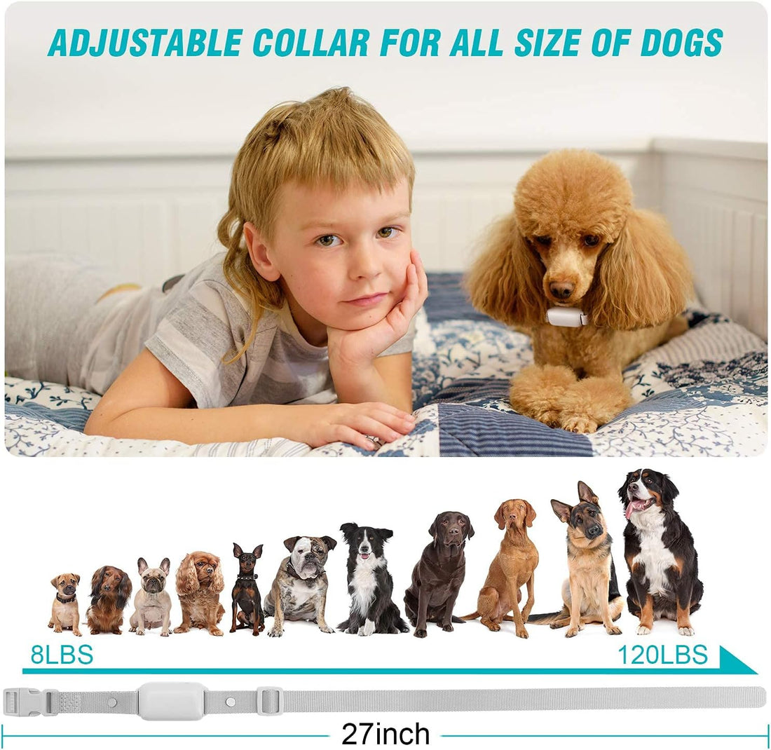 Bousnic Shock Collar for Dogs