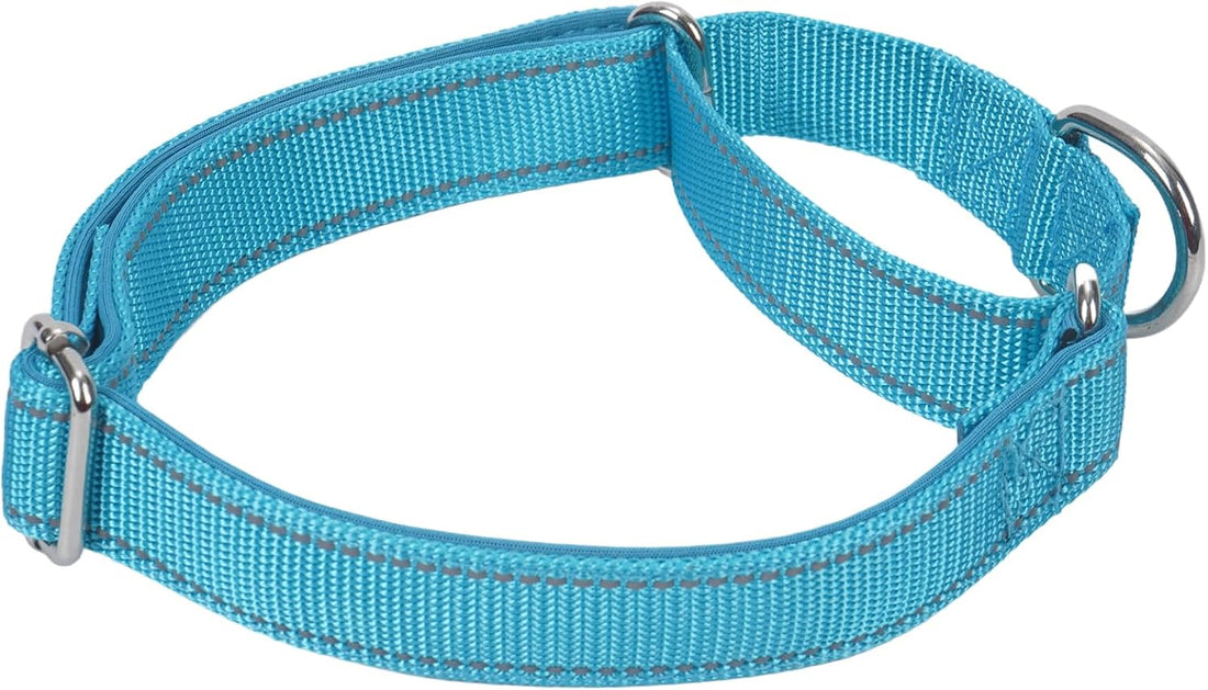 SGODA Martingale Dog Collar, Blue, M