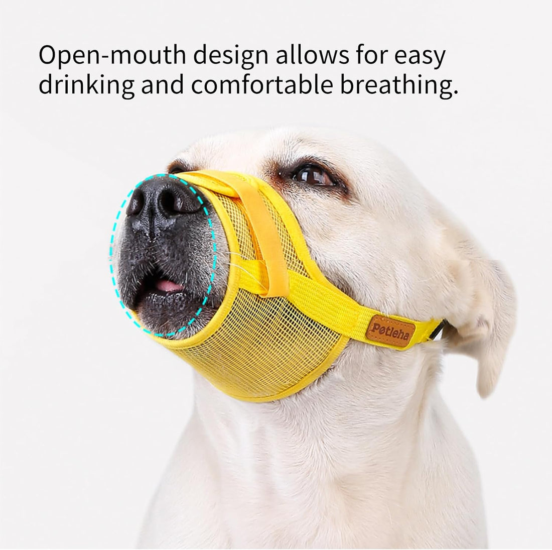 Dog Muzzle, Breathable Mesh for Grooming & Nail Care