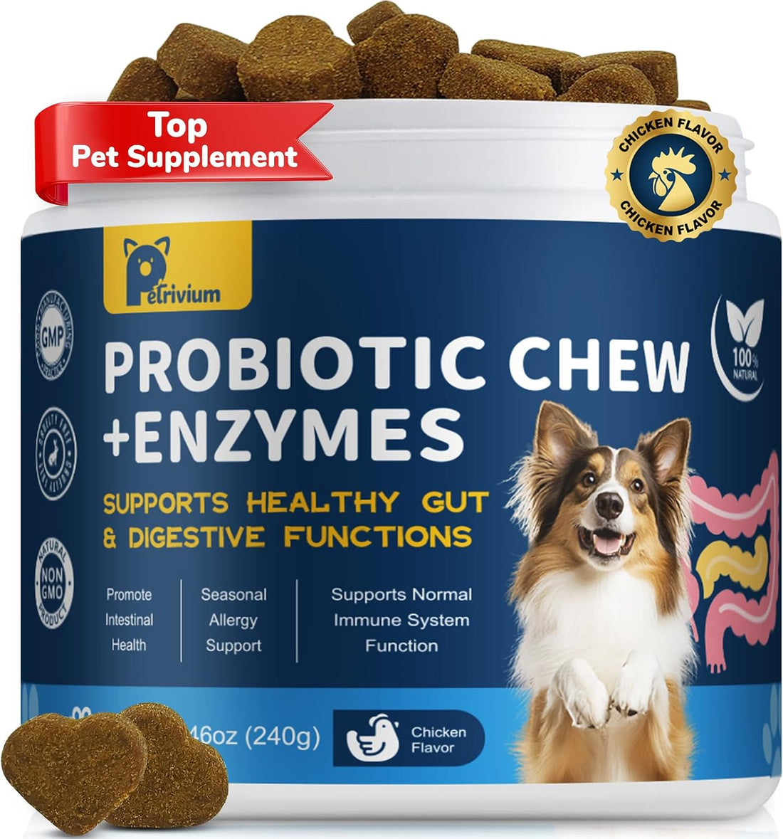 Probiotics for Dogs Digestive Health