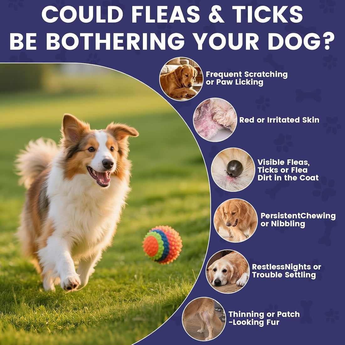 Flea and Tick Prevention for Dogs - 180 Natural Soft Chews