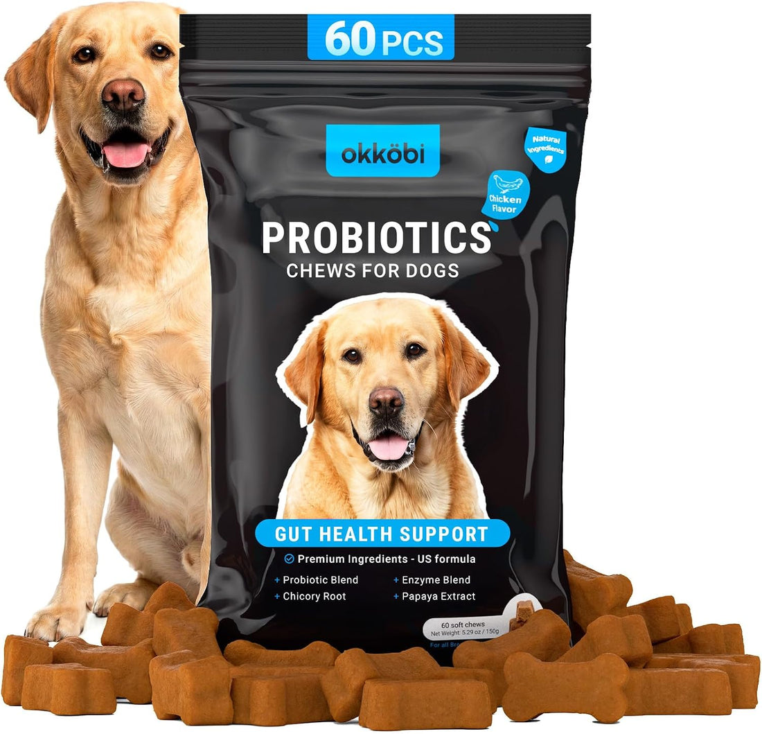 Probiotic Chews for Dogs, 150 Count, Digestive, Gut Health Support