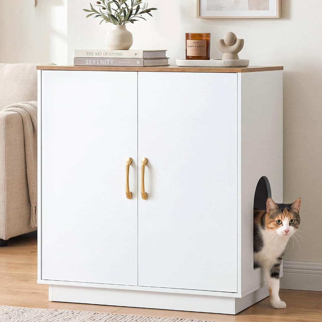 Gitelsnour 30.9'' Litter Box Enclosure Furniture- Hidden Storage