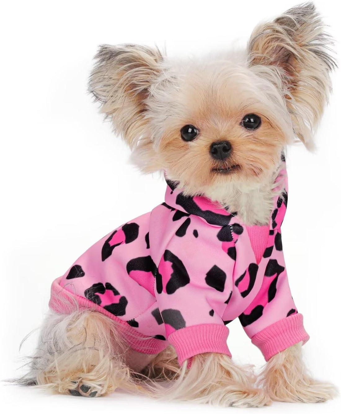 Yellow Duck Pattern Dog Hoodie Sweatshirt:Stylish with Hat