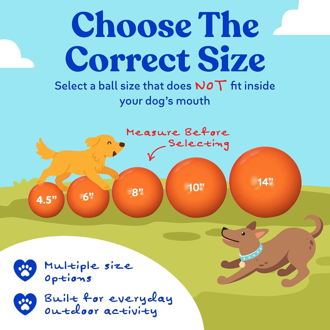 Doggie Dooley Virtually Indestructible Dog Ball - 10 Inch