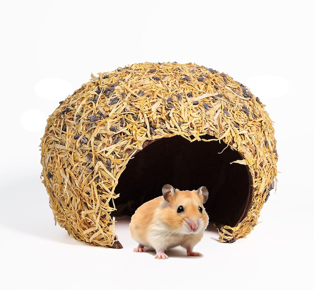 Hamster Hideout - Large, Natural Moss, Handcrafted for Syrian Hamsters
