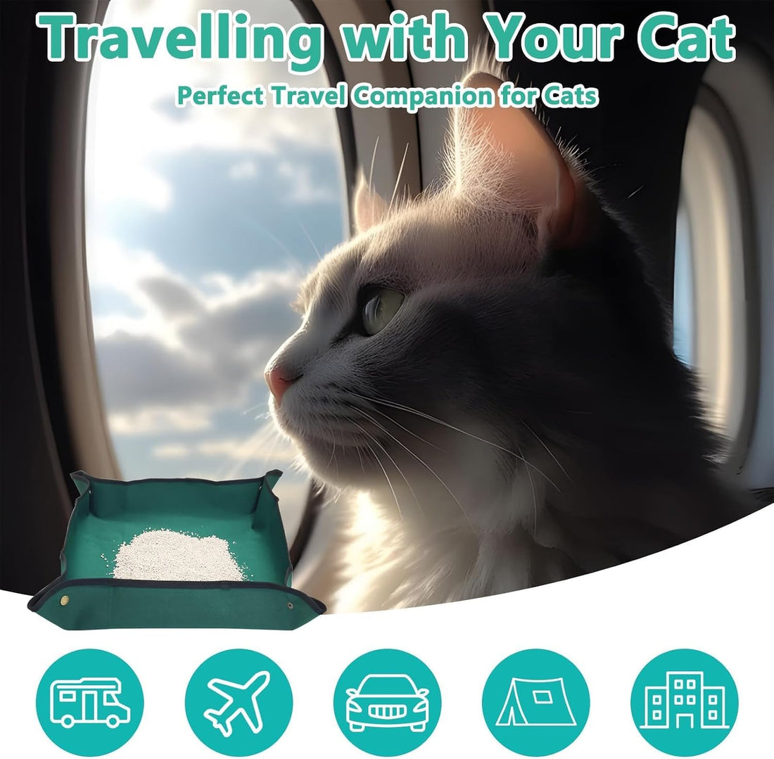 BNOSDM Foldable Travel Litter Box Set for Cat 5 PCS Portable Low Entry