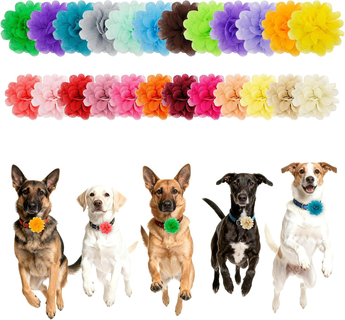 24 Pcs Dog Flower Collar Accessory, Multi-Color Pet Flower Collars