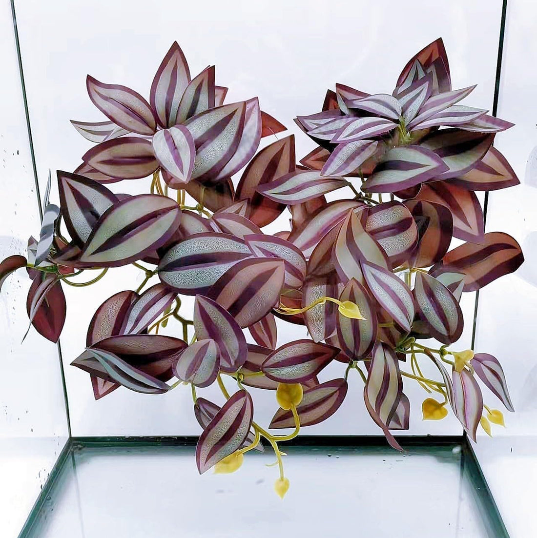 Reptile Plants for Terrarium, Reptile Tank Decor,Artificial Plants