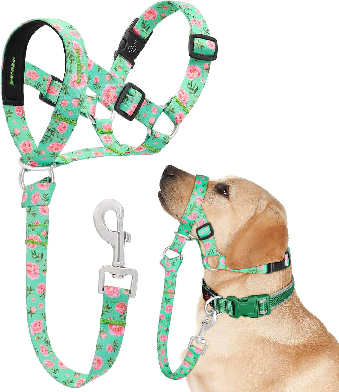 Dog Head Collar, Printed No-Pull Headcollar