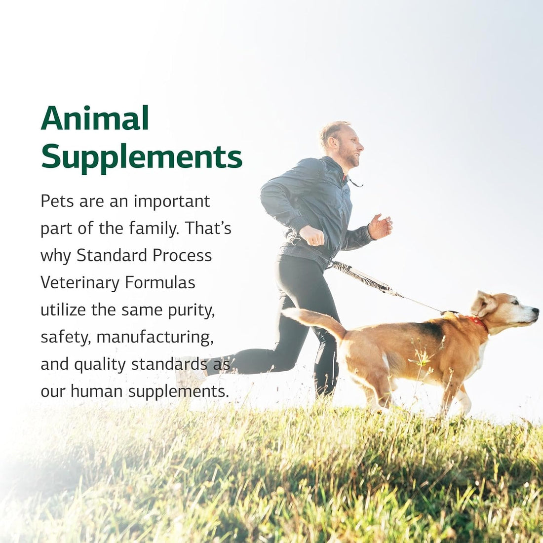 Standard Process Inc. Feline Enteric Support - 90 Tablets