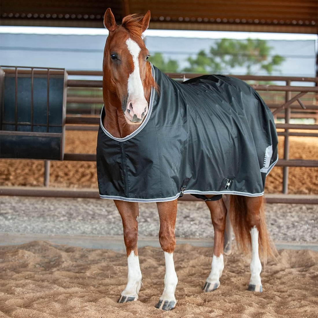 Classic Equine Closed Front Stable Sheet Black L