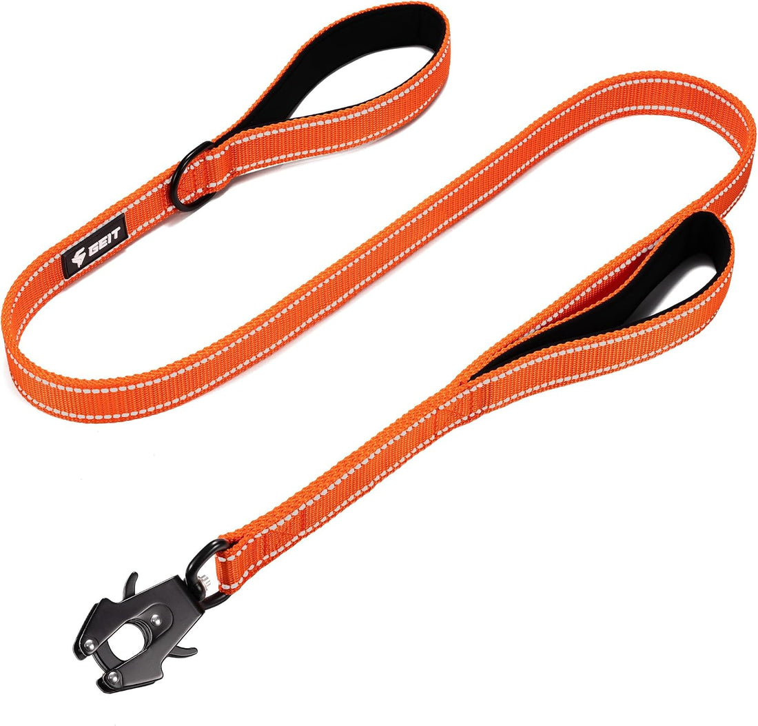 GEIT 2 Padded Handles Heavy Duty Dog Leash for Small Medium and Large