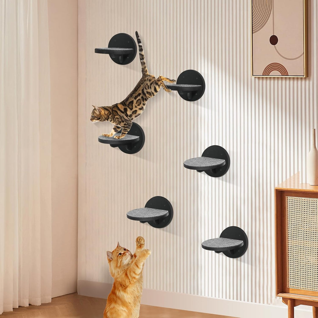 Cat Wall Shelves Furniture Set of 6