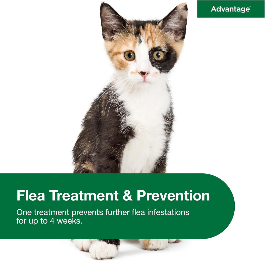 Advantage Topical Cat Flea Treatment and Prevention for Small Cats