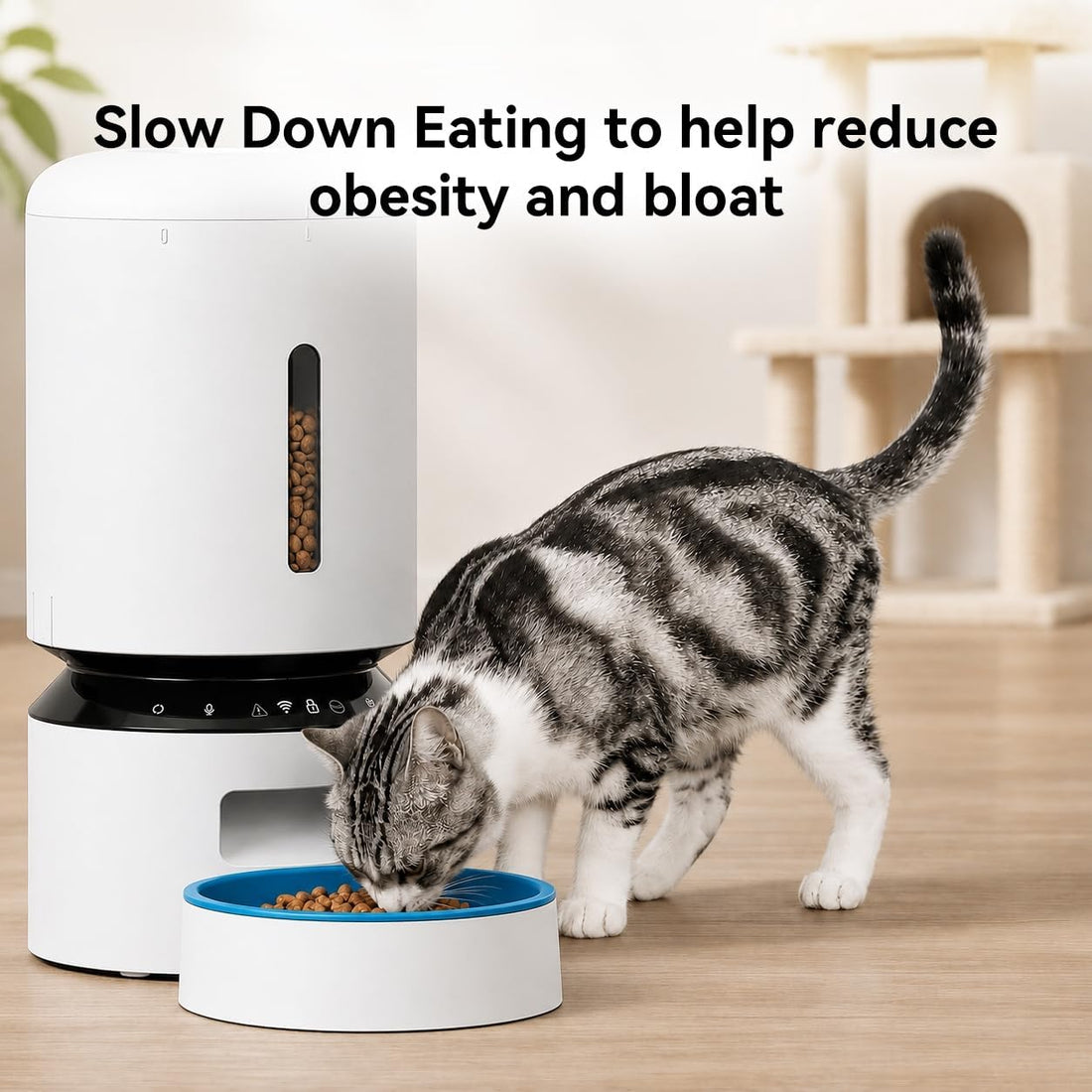 Slow Feeder Bowl for Cats & Small Dogs Compatible with PETLIBRO