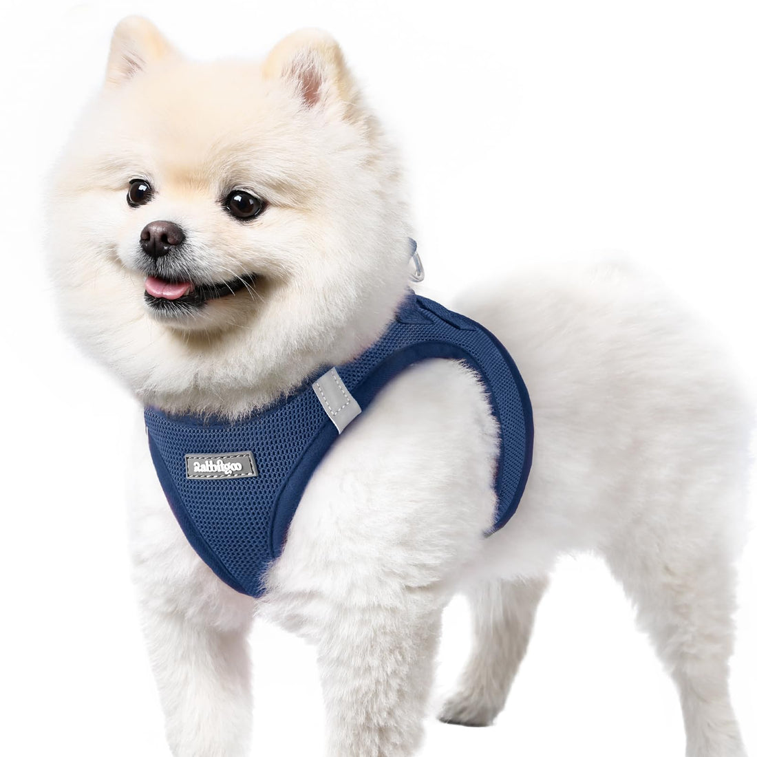 rabbitgoo Small Dog Harness, Step-in Soft Mesh Puppy Vest with Safety