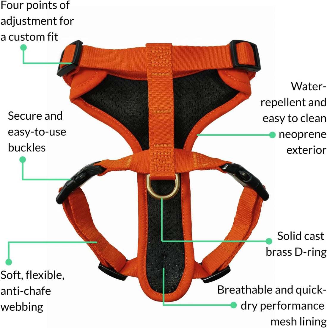 DJANGO Adventure Dog Harness - Padded & Adjustable