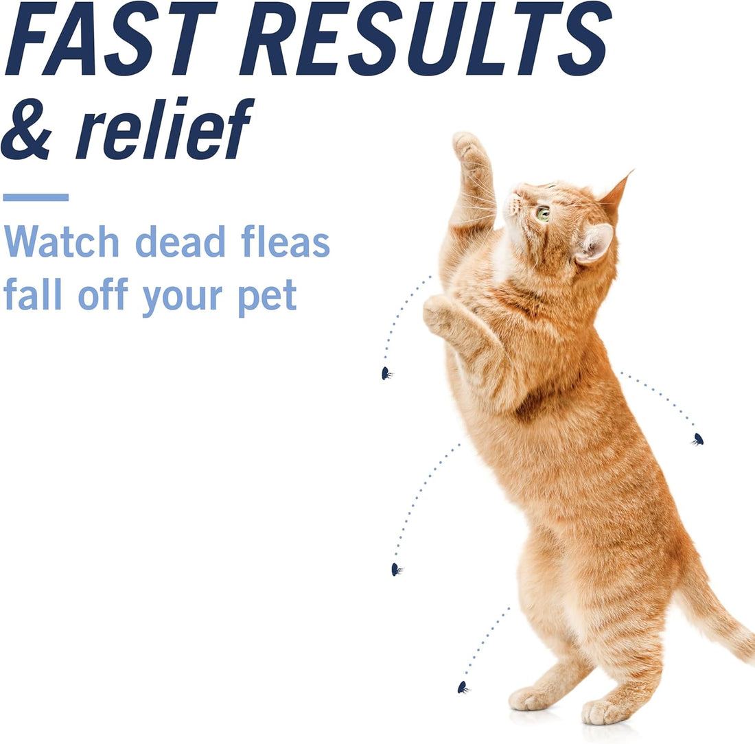 PetArmor CAPACTION Oral Flea Treatment for Cats