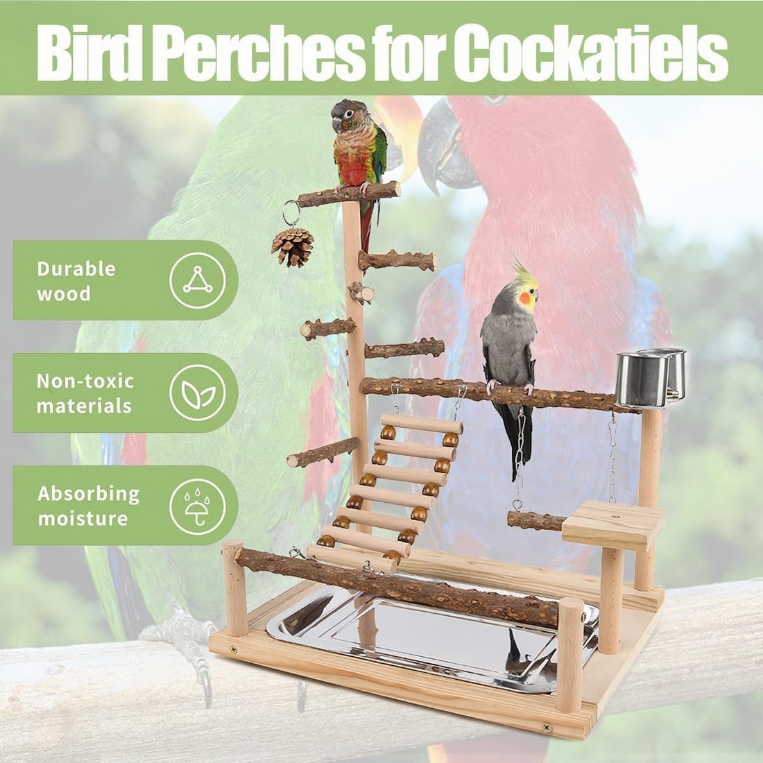 Bird Playground, Parrot Perch Stand