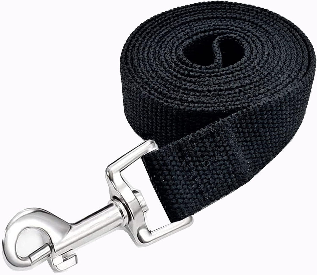 Strong Nylon Dog Leash, 5 FT Long Dog Leashes for Medium Large Dogs