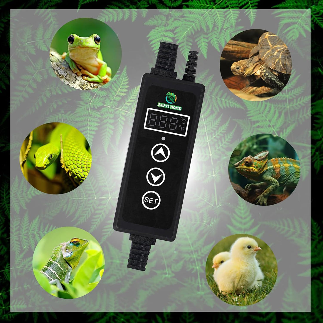 Reptile Dimming Thermostat, PID Thermostats for Reptile Tanks