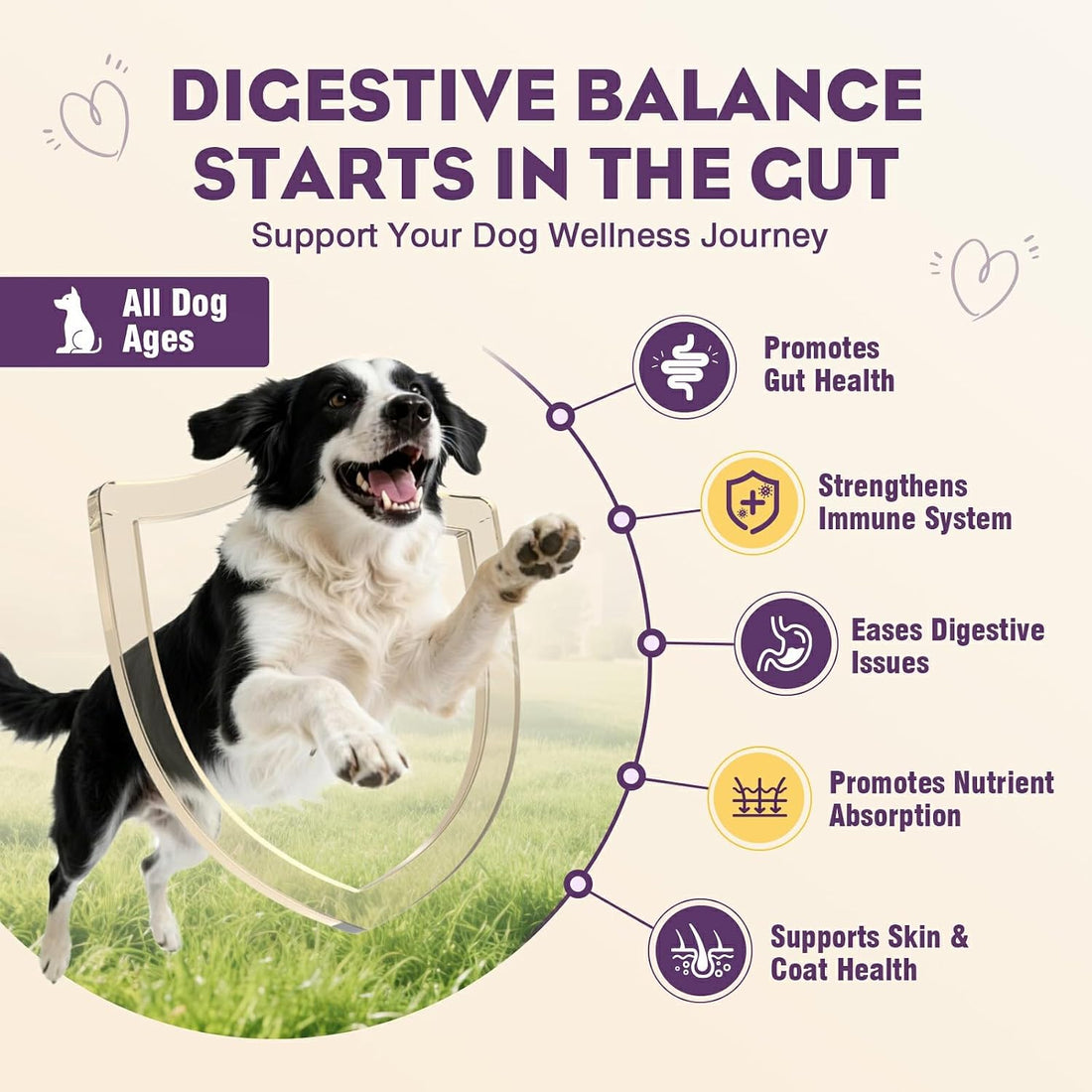 TTLXRL Probiotics for Dogs 200pcs Dog Probiotics for Digestive Health