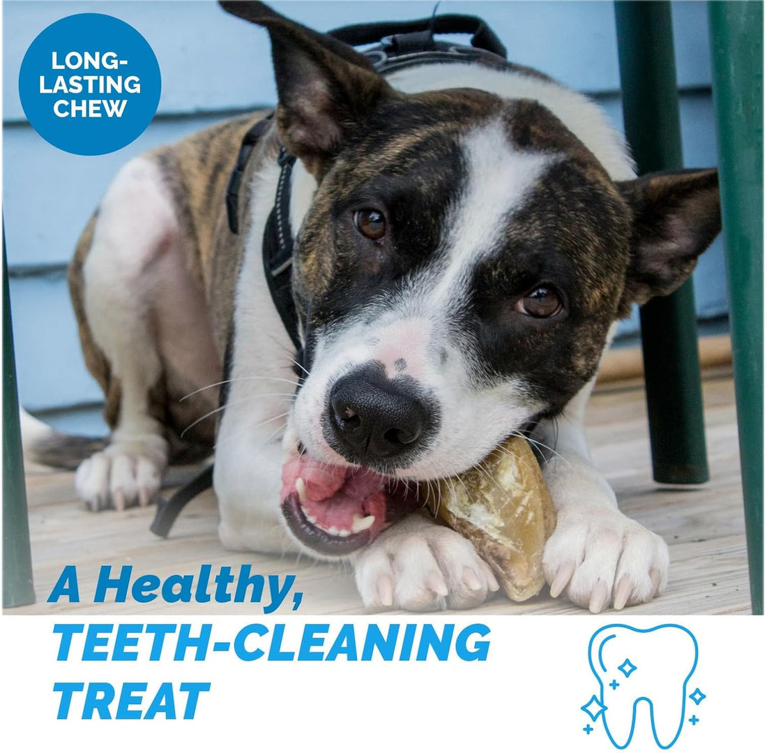 123 Treats | Cow Hooves for Dogs